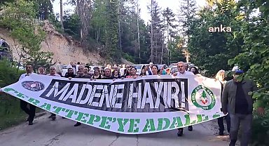 Yeşil Artvin Derneği Başkanı Neşe Karahan: 