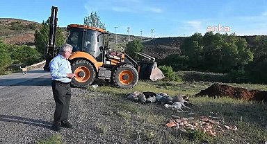 Yozgat'ta 20 sokak köpeği iğne ile öldürülerek yol kenarına atıldı