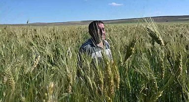 Yozgatlı çiftçi geçen yıl 5 dekara ektiği 40 kilo ata tohumundan 2 ton ürün aldı, bu yıl ekim alanını 15 dekara çıkardı