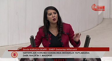 Ahmet Şık: