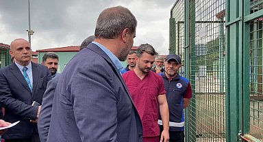 AK Parti Genel Başkan Yardımcısı Şen: