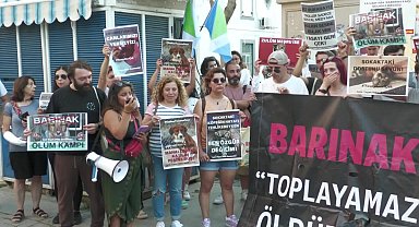 AK Parti'nin sokak hayvanlarıyla ilgili yasa teklifine karşı İzmir'de protesto eylemleri devam ediyor