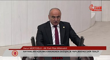 AKP Milletvekili Mertoğlu: 