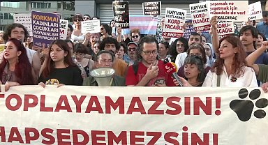 Ankara'da yaşam hakkı savunucularından protesto...