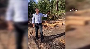 Ardahan Göle Dernekler Federasyon Genel Başkanı Eren Küpeli, ormanda kaçak kesim yapıldığını ileri sürdü, STK ve siyasilere çağrı yaptı: 'Bu katliamı durduralım