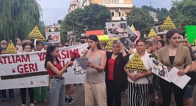 Arhavi Hayvan Hakları Koruma Derneği: “Bizler bu yasaya karşı çıkıyoruz, yasalar yaşatır, öldürmez