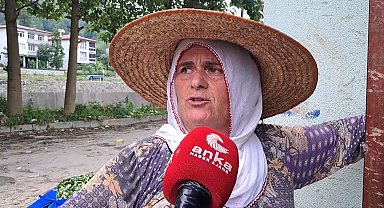 Artvin’de çay üreticileri tepkili:
