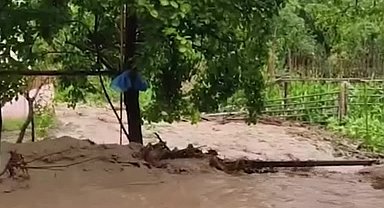 Artvin'in Tosunlu köyünde ekili tarım arazileri aşırı yağıştan zarar gördü... Sevim Pehlivan: