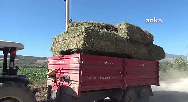 Aydın Süt Birliği Başkanı Başkaya: “Süt sanayicileri, Ulusal Süt Konseyi’nin aldığı karara mayıs ayında uymadılar, fiyatlarda hala belirsizlik var