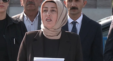 Ayşe Ateş: 