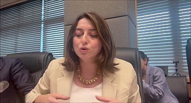 Aysu Bankoğlu :