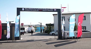 Balıkesir Büyükşehir Belediyesi’nden “Sahip çıkıyoruz, sahipsiz bırakmıyoruz” projesi… Başkan Ahmet Akın, iki can dosta yuva oldu