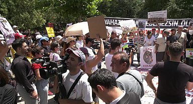 Barolar ve hayvanseverlerden Kuğulu Park'ta 'ötanazi' protestosu: