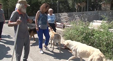 Başkan Ünsal can dostların yaşam koşullarını yerinde inceledi 