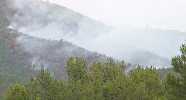 Bergama’daki orman yanına müdahale devam ediyor. Bazı bölgelerde soğutma çalışmasına başlandı
