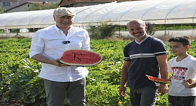 Beykoz’da alım garantili hasat zamanı