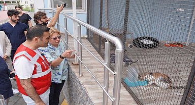 Beyoğlu Belediyesi, sokak hayvanları için bir kahve zinciri ile iş birliği protokolü imzaladı