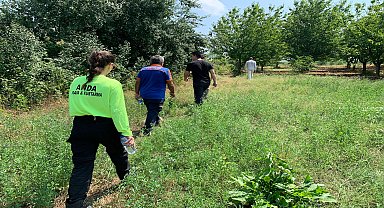 Bilecik’te hayvan otlatmaya çıktıktan sonra geri dönmeyen şahıs aranıyor