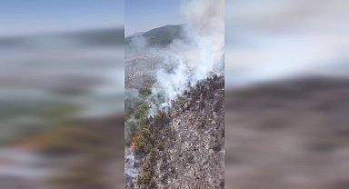 Bodrum’da orman yangını