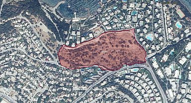Bodrum’da zeytinlik alandaki otel projesine “ÇED gerekli değildir” kararı verildi