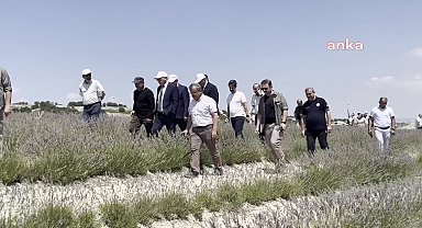 Burdur’da kuraklığa karşı mücadele için dikilen lavantaların hasadı başladı