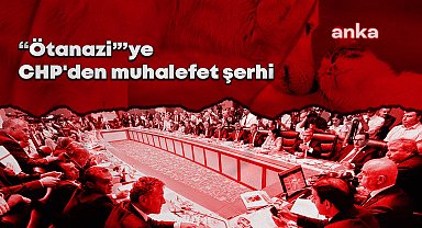 CHP'den sokak hayvanlarıyla ilgili kanun teklifine muhalefet şerhi: 