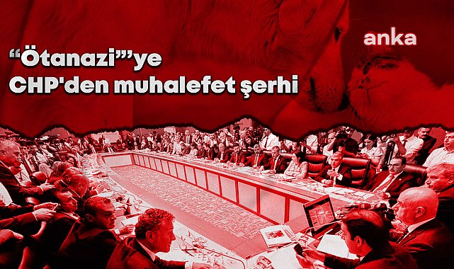 CHP'den sokak hayvanlarıyla ilgili kanun teklifine muhalefet şerhi: