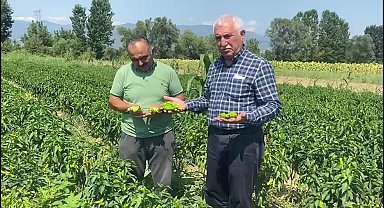 CHP'li Kadim Durmaz'a dert yanan bir çiftçi: