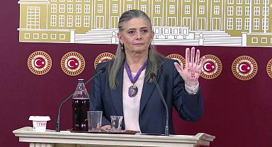 CHP'li Suiçmez: