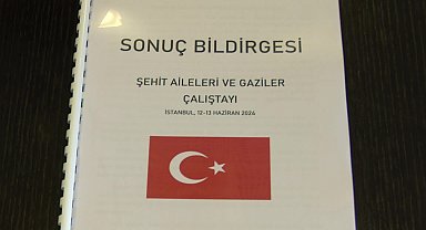 CHP'li Yankı Bağcıoğlu, Şehit Aileleri ve Gaziler Çalıştayı raporunu açıkladı: