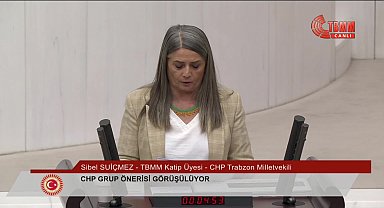 CHP'nin 'hayvan haklarının korunmasında ortaya çıkan sorunların tüm yönleriyle araştırılması' önerisi reddedildi