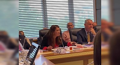 CHP'yi Gökçe Gökçen’den ‘kadının soyadı’ düzenlemesine tepki: