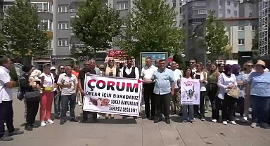Çorum'da hayvanseverler, sokak hayvanlarıyla ilgili kanun teklifini protesto etti: