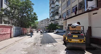 Çukurova Belediye Başkanı Kozay, asfalt döküp çim biçti