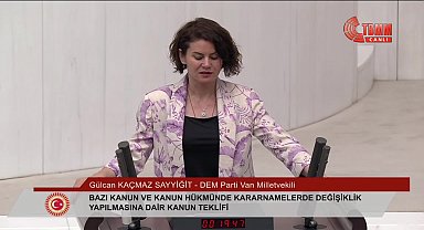 DEM Partili Sayyiğit: 