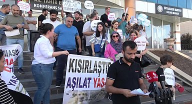 Diyarbakır’da sokak hayvanları yasa tasarısına tepki: “Toplayamazsın, öldüremezsin, hapsedemezsin”