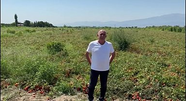 Domates üreticileri maliyetlerden yakındı: 