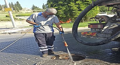 Efes Selçuk’ta haşere sorununa karşı yoğun mücadele