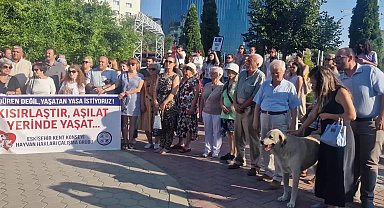 Eskişehir'de sokak hayvanlarına ilişkin kanun teklifine protesto: “Bilimsellikten uzak bu kanun teklifine asla onay vermiyoruz”