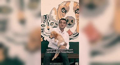 Giresun Belediye Başkanı Köse’den sokak hayvanlarıyla ilgili kanun teklifine videolu tepki: “Onların yaşaması için mücadele etmekten asla vazgeçmeyeceğim”