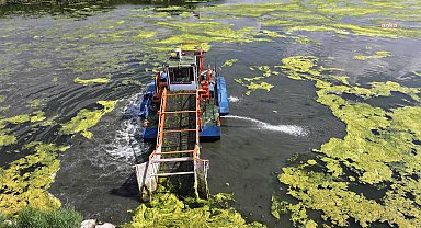 Gölbaşı Belediyesi'nden Mogan Gölü'nde temizlik çalışması
