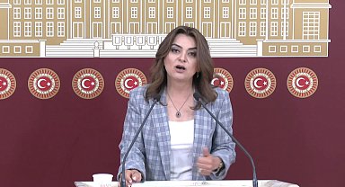 Gülüstan Kılıç Koçyiğit: Emekliye ayıracakları kaynakları, sermayeye, yandaşlara kaymak yaptılar