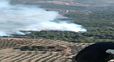 Hatay'ın Belen ilçesinde orman yangını