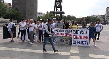 Hayvan hakları savunucuları Diyarbakır'dan seslendi: ''Bu kanun teklifi, kan kokuyor. Andımız olsun ki size bu hayvanları öldürtmeyeceğiz''