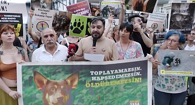 Hayvan hakları savunucuları, yasa teklifini Kadıköy'de protesto etti: Köpeklerin 'başıboş' denilerek canavarlaştırılmasına izin vermiyoruz