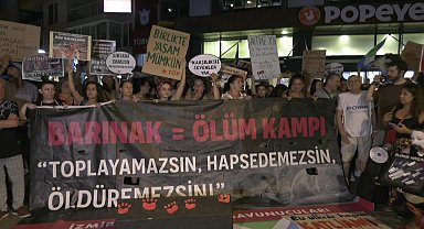 Hayvan hakları savunucularından