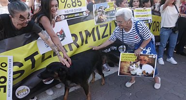 Hayvanseverler Kadıköy'den haykırdı: