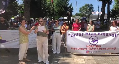 Hopa'da hayvanseverler, sahipsiz hayvanlara ötanazi getiren kanun teklifini protesto etti
