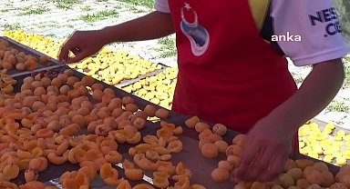Iğdır'da kadın kooperatifi, kayısıları kurutarak ekonomiye kazandırıyor