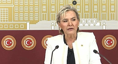 İYİ Parti İstanbul milletvekili Nimet Özdemir partisinden istifa etti